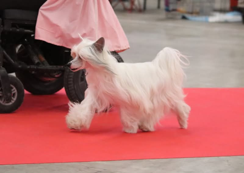 Zero Tolerance Xplore the unknown