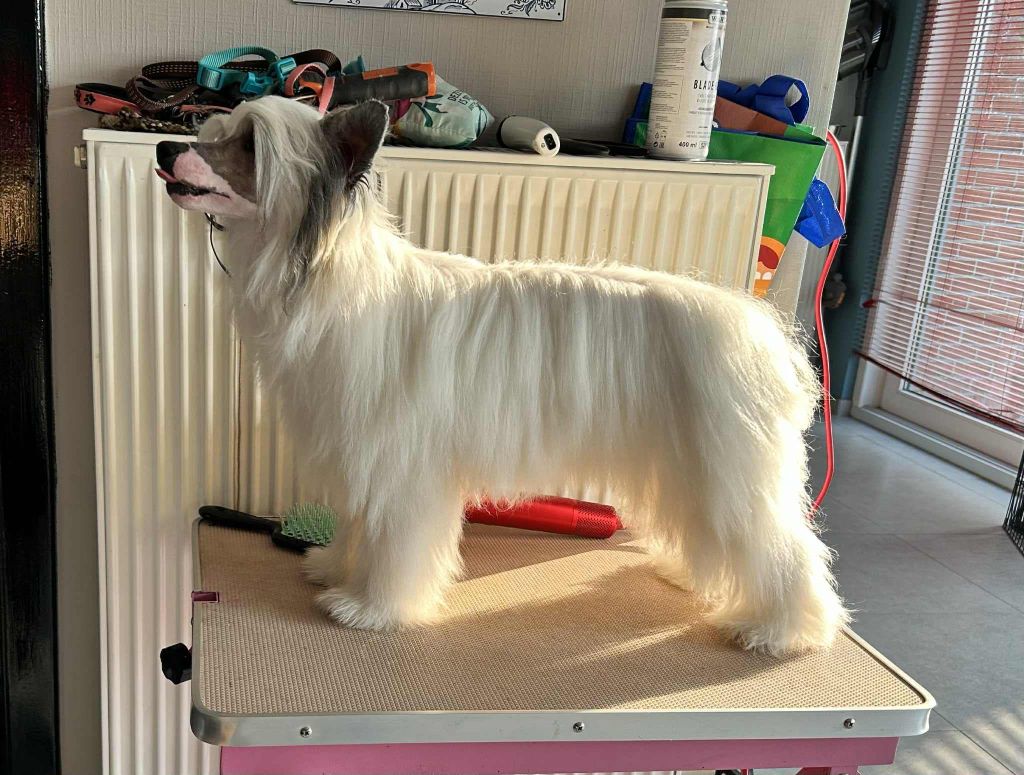 Zero Tolerance Coloré the unknown